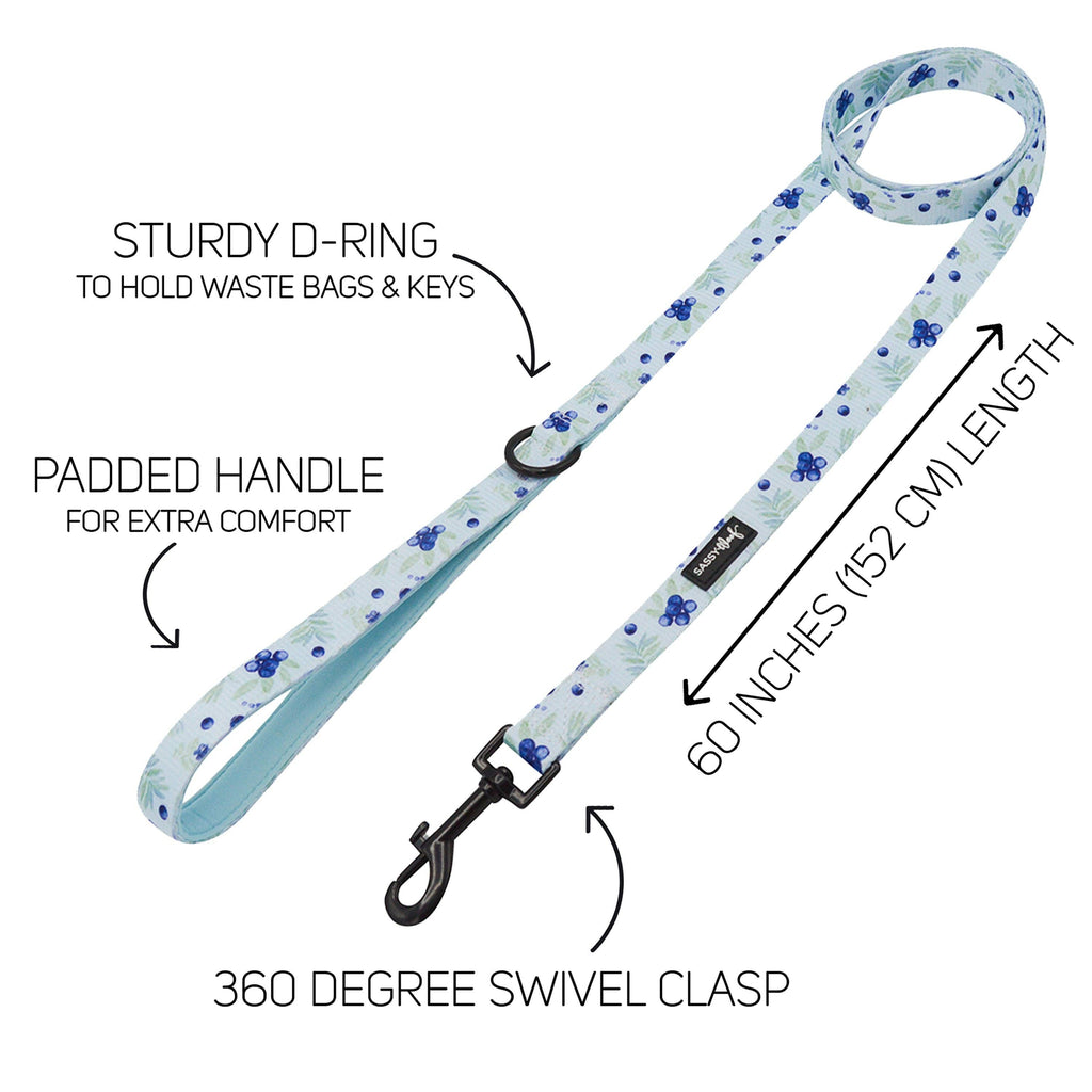 Berry Sassy Dog Leash