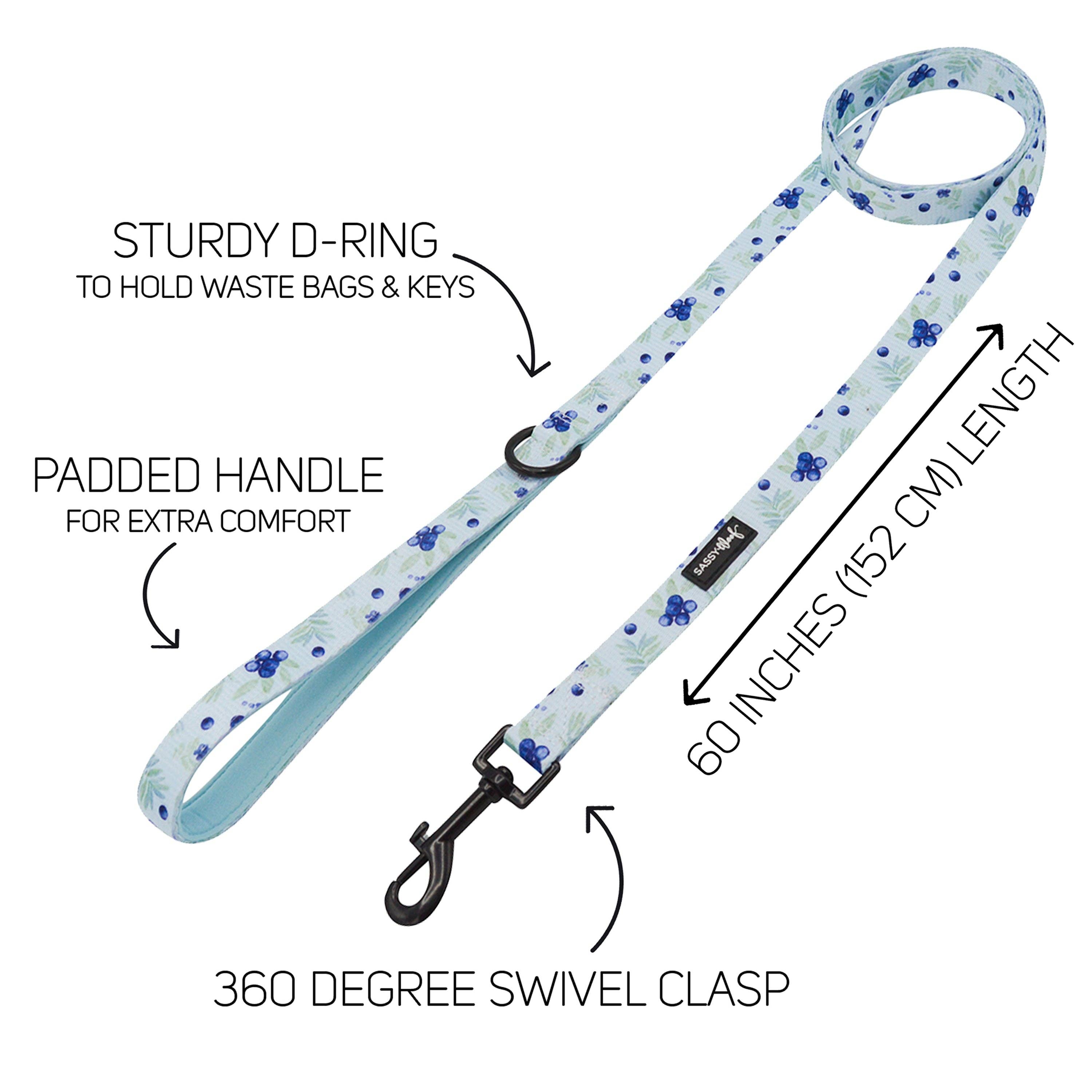 Berry Sassy Dog Leash