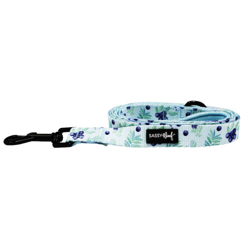Berry Sassy Dog Leash