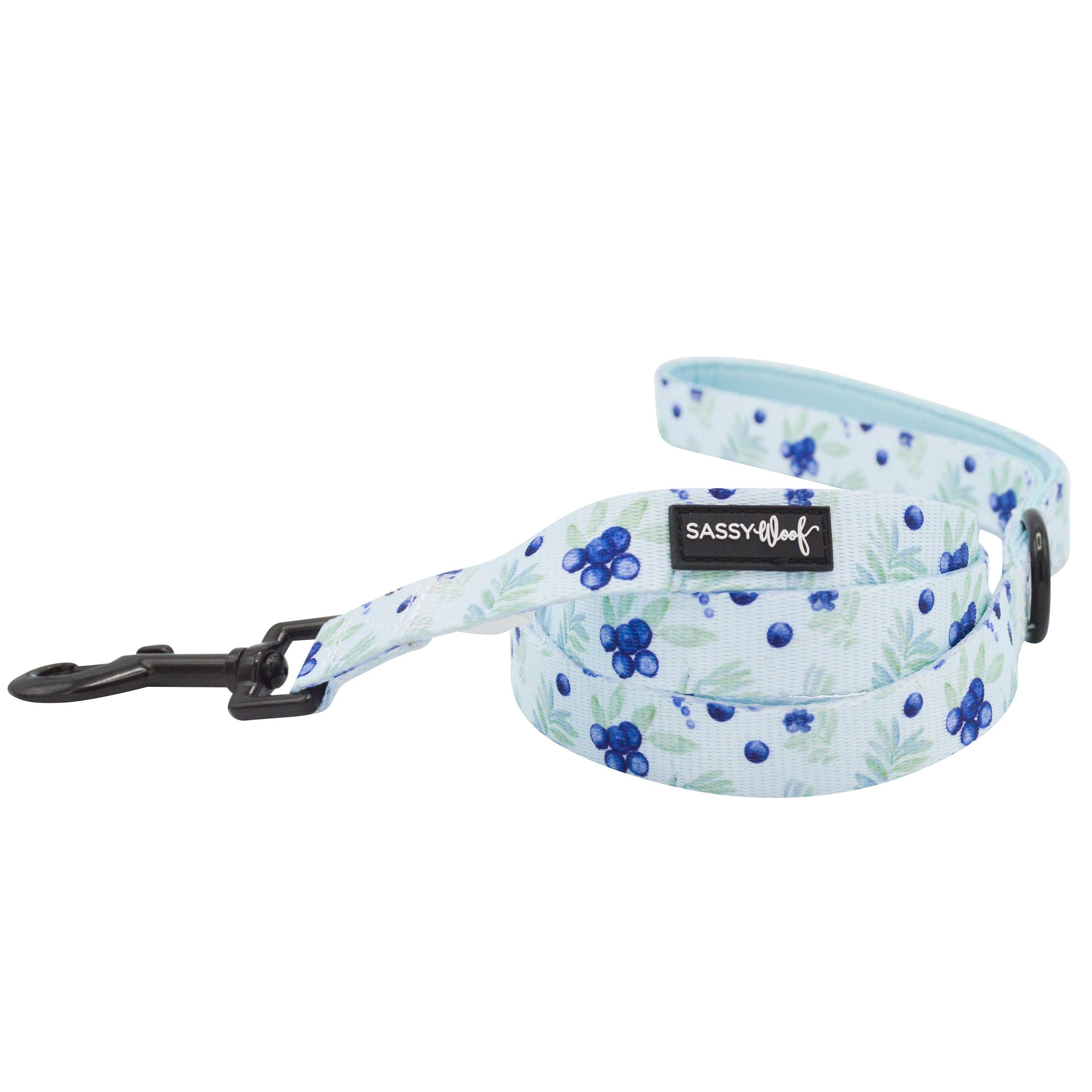 Berry Sassy Dog Leash